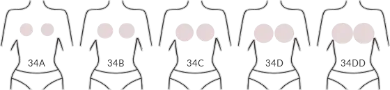 Alternate bra sizes